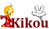 ;kikou